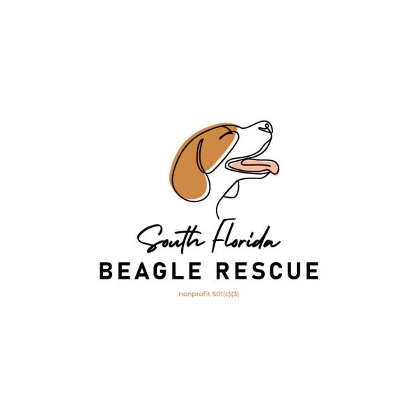 South Florida Beagle Rescue