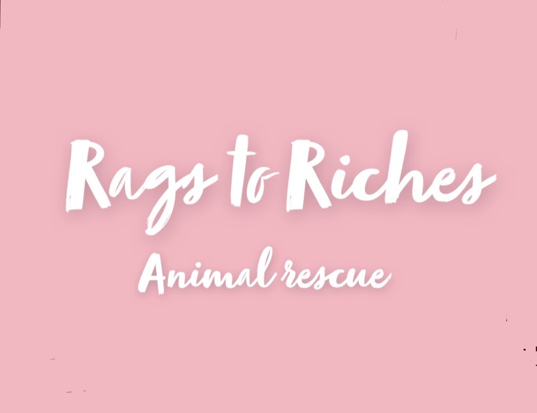 Rags to Riches Animal Rescue Inc