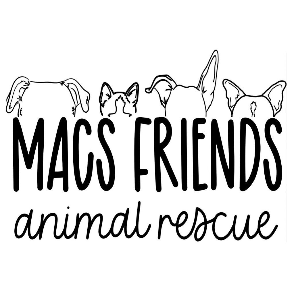 Pets for Adoption at MACS Friends Animal Rescue Inc, in Auburn, GA