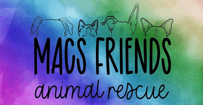 MACS Friends Animal Rescue Inc