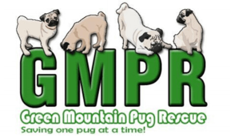 Green Mountain Pug Rescue