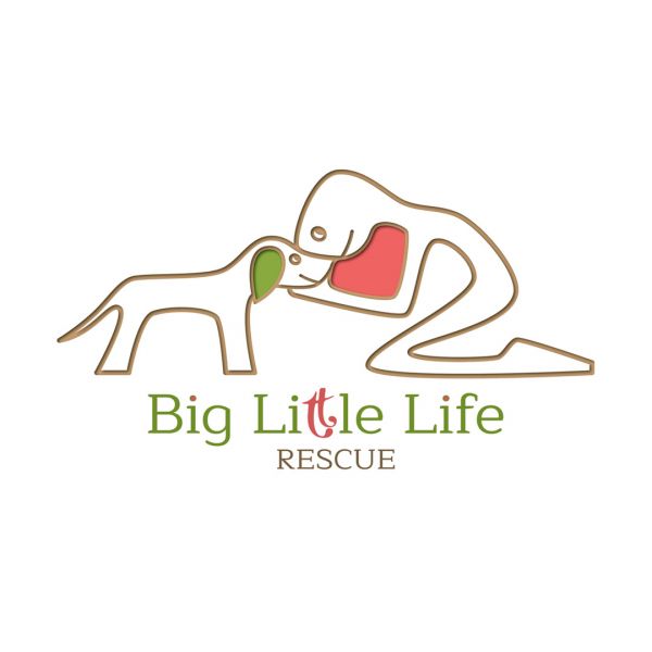 Big Little Life Animal Rescue International