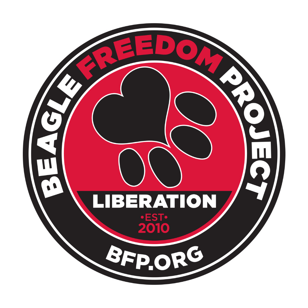 Beagle Freedom Project