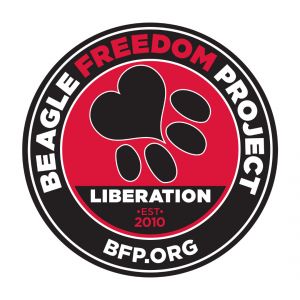 Beagle Freedom Project