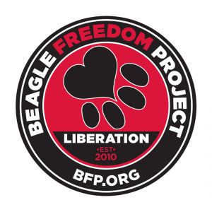 Beagle Freedom Project