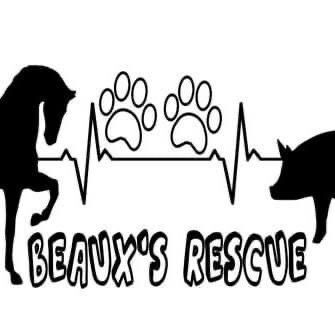 Beaux’s Rescue Inc