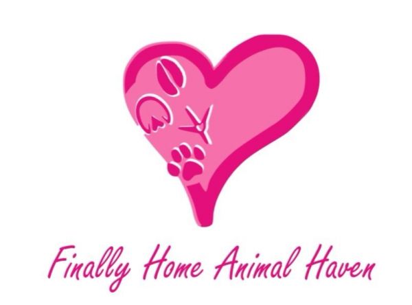 Finally Home Animal Haven