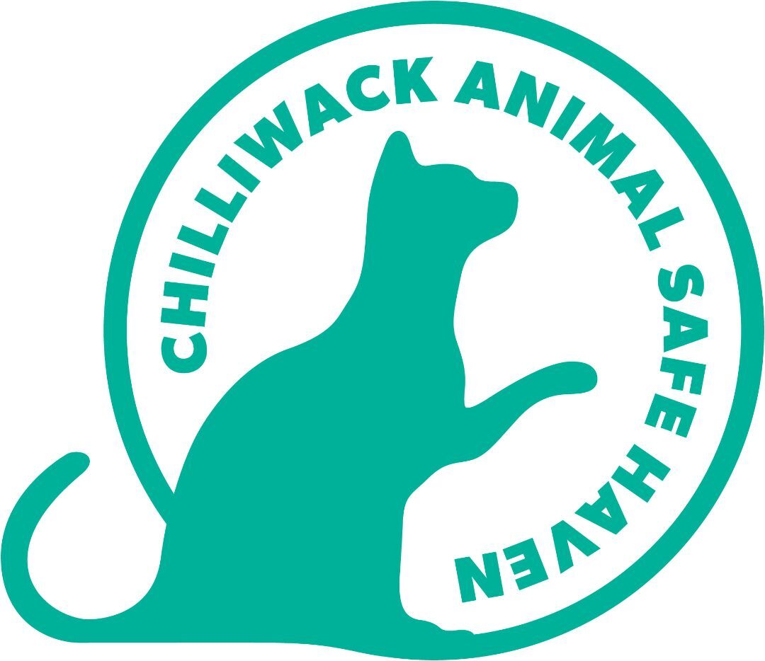 Chilliwack Animal Safe Haven