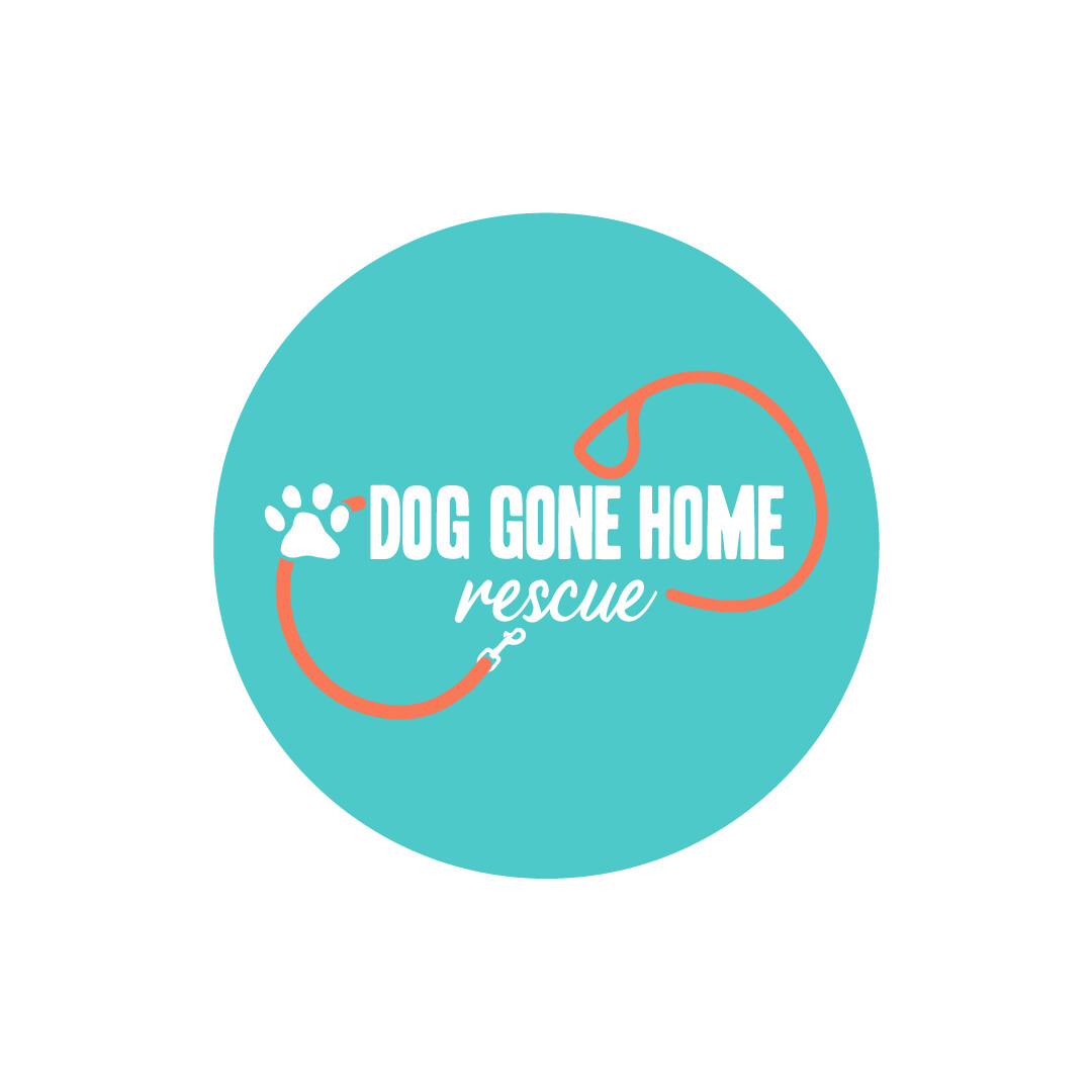 Dog Gone Home
