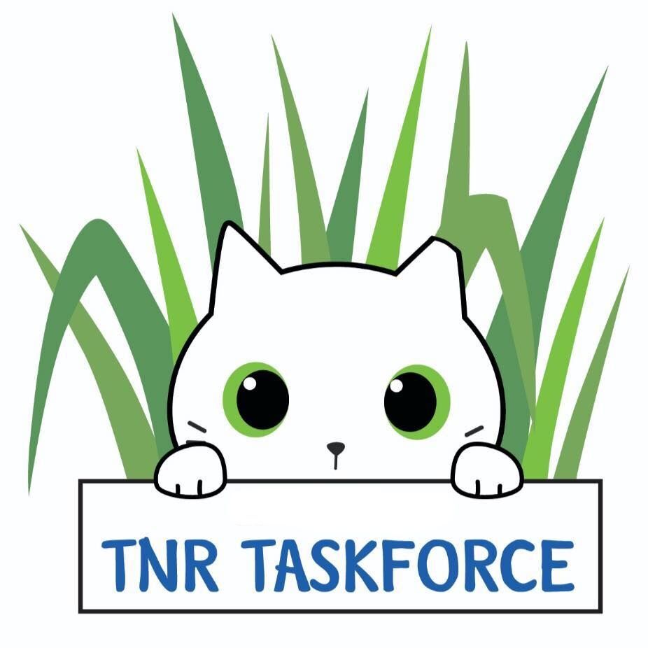 TNR