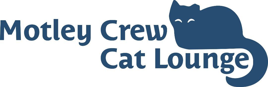 Motley Crew Cat Lounge