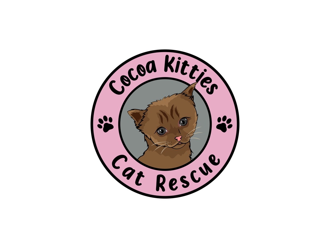 Pets for Adoption at Cocoa Kitties, in Hershey, PA Petfinder