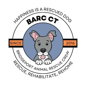 BARC-CT