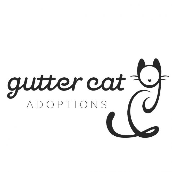 Gutter Cat Adoptions NFP