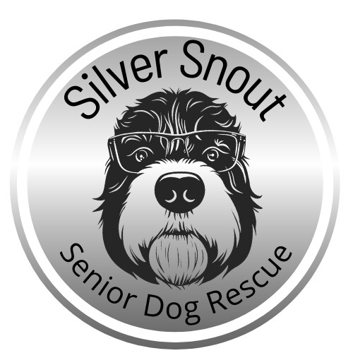 Silver muzzle senior dog rescue sale