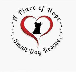 A Place of Hope Small Dog Rescue Inc