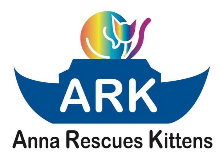 Anna Rescues Kittens