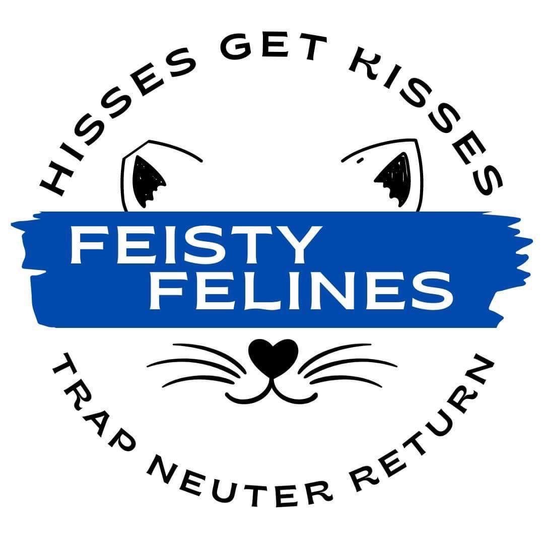 Feisty Felines