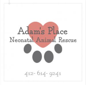 Adam's Place Neonatal Animal Rescue
