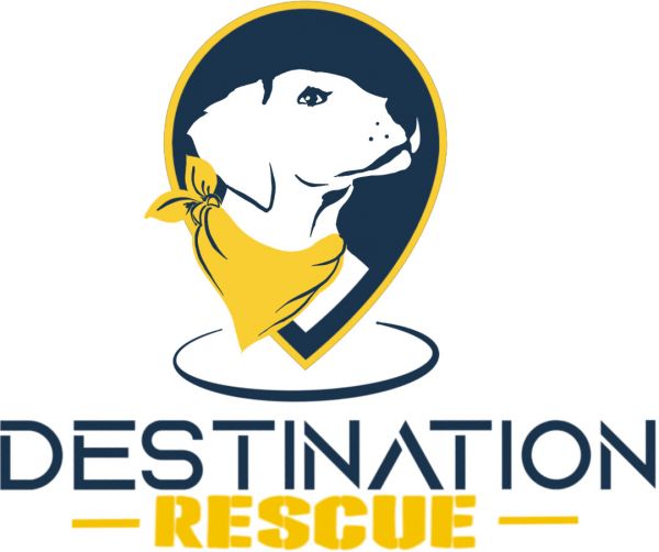 Destination Rescue