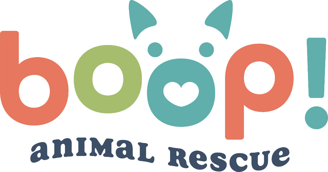 Boop! Rescue