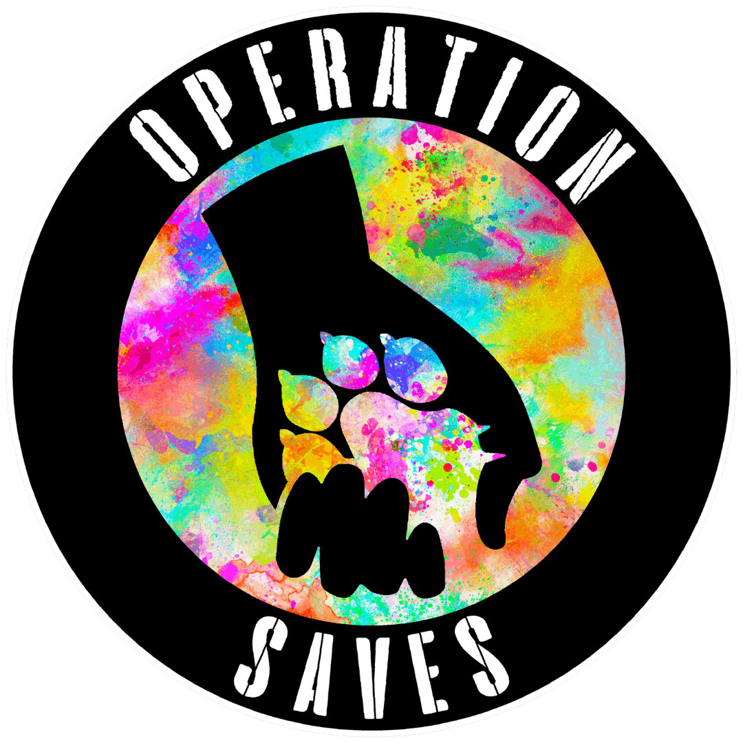 Operation Saves Rescue