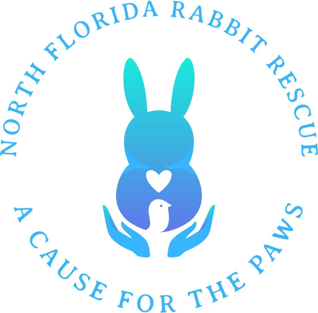Pets for Adoption at North Florida Rabbit Rescue, in Jacksonville, FL