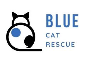 Blue Cat Rescue