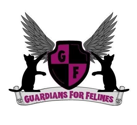 Guardians For Felines