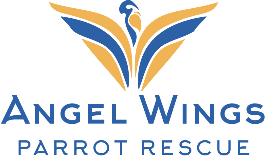 Angel Wings Parrot Rescue