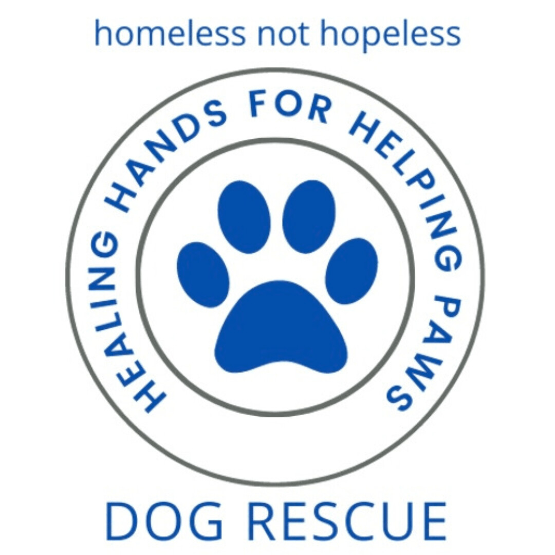 Healing Hands for Helping Paws