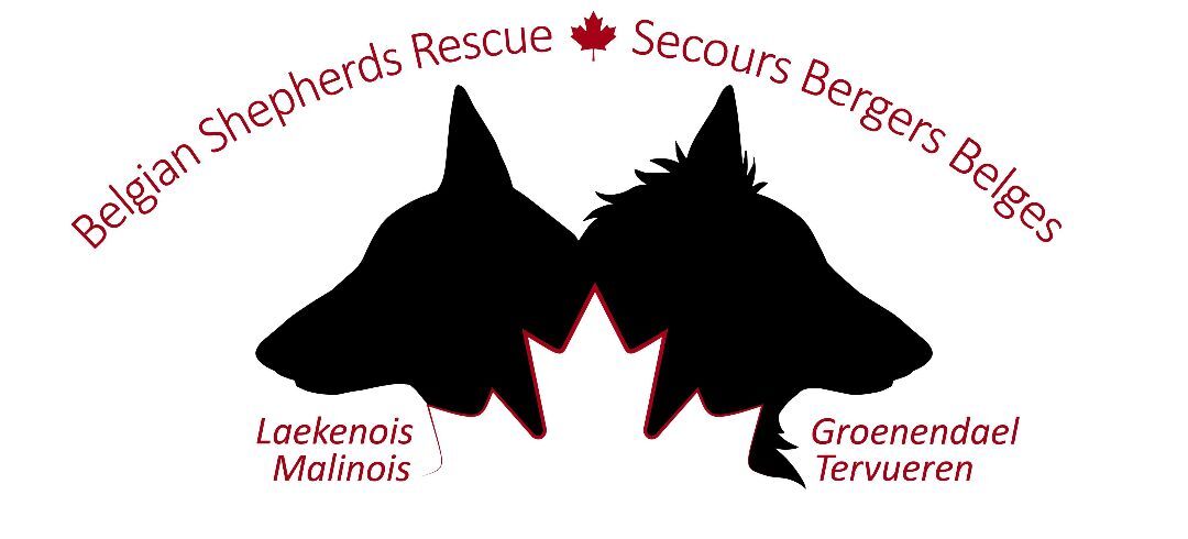Belgian Shepherds Rescue Canada