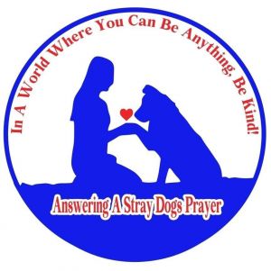 Answering A Stray Dogs Prayer