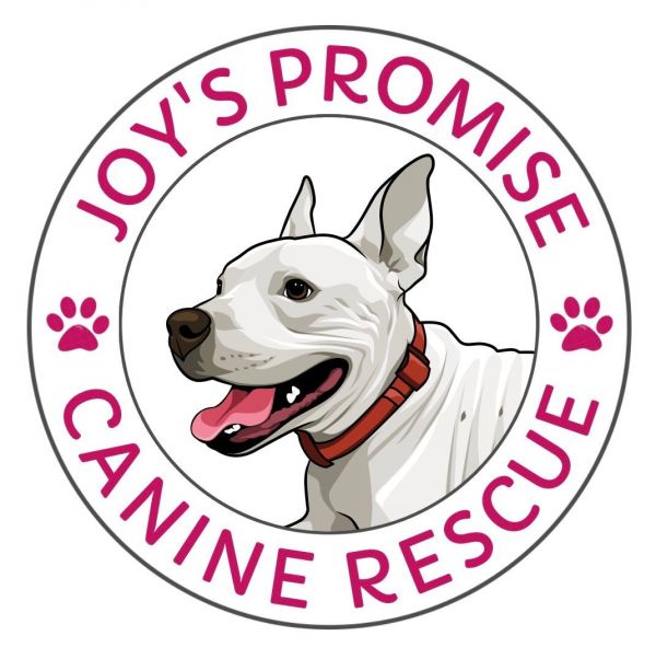 Joy's Promise Canine Rescue