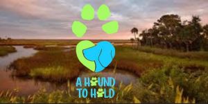 A Hound to Hold