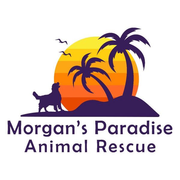 Morgan's Paradise Animal Rescue