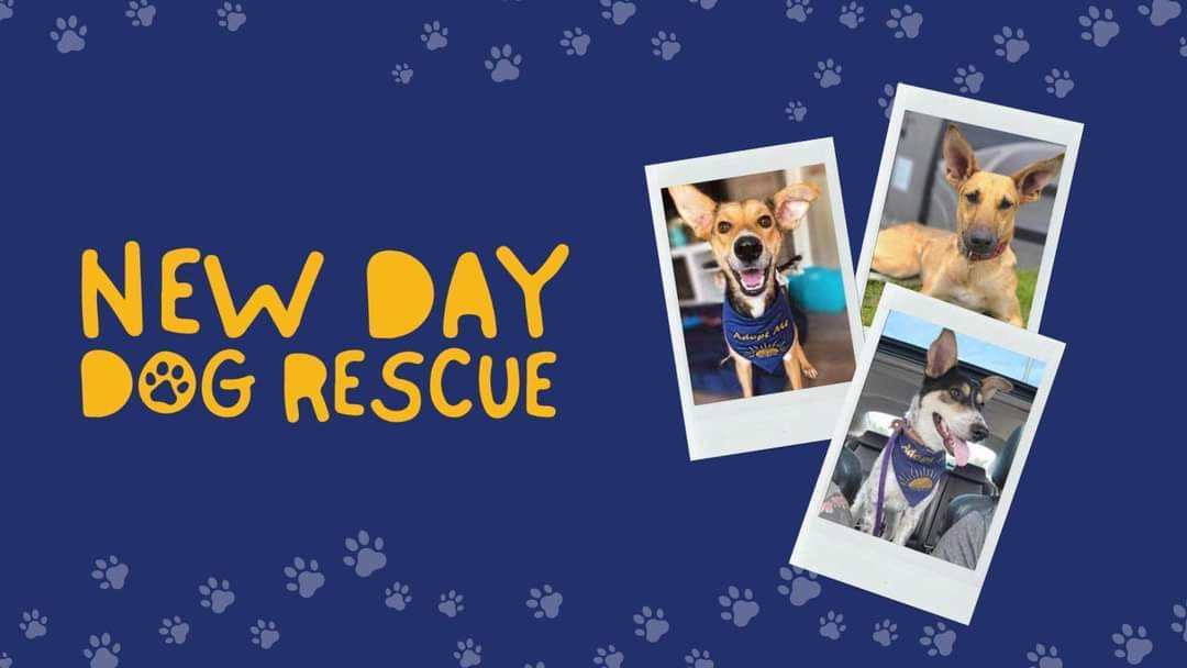 New Day Dog Rescue