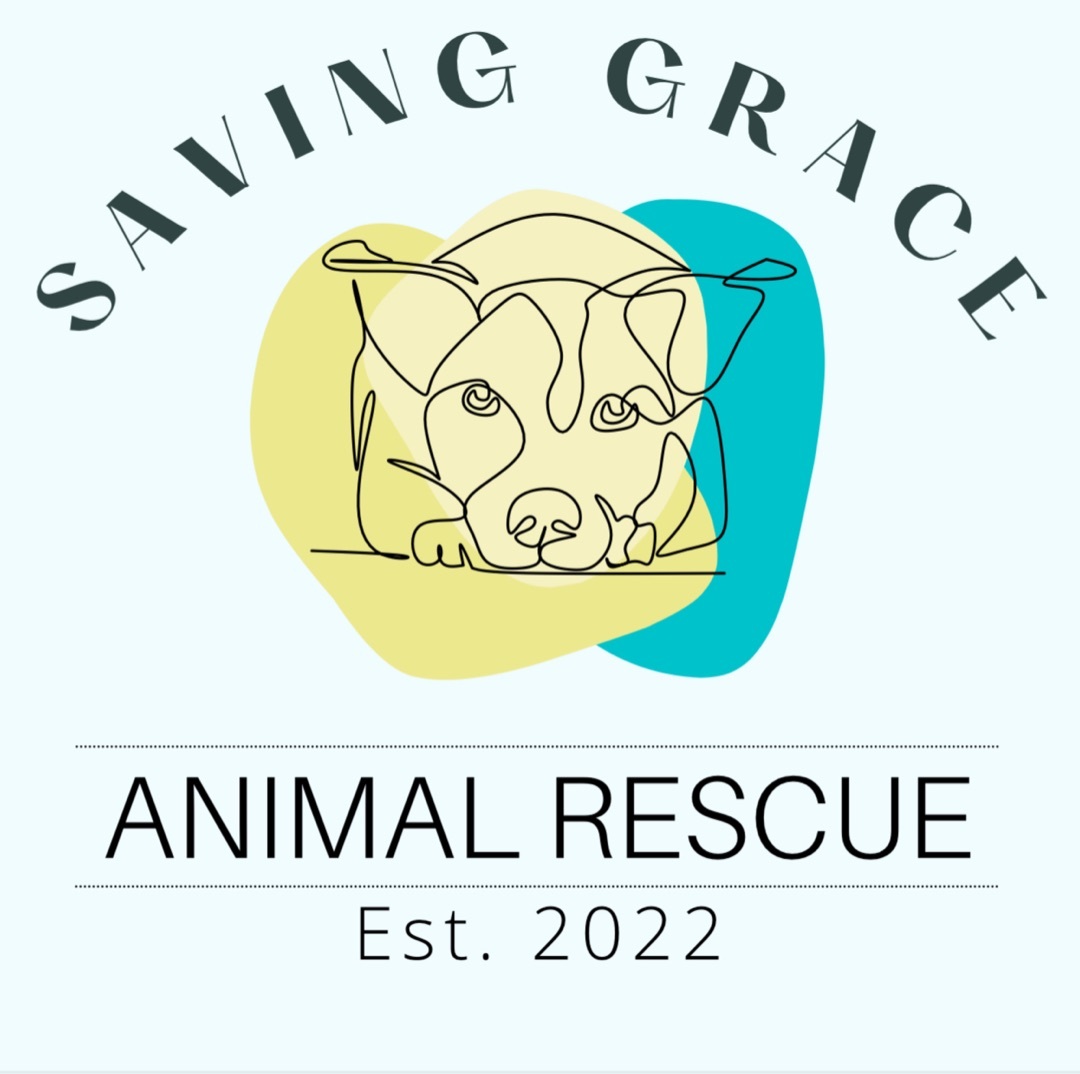 Saving Grace Animal Rescue