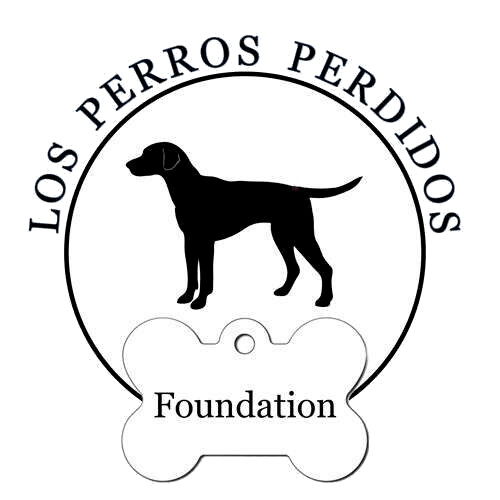 Los Perros Perdidos Foundation