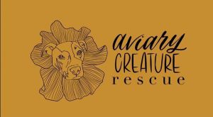 Aviary Creature Rescue