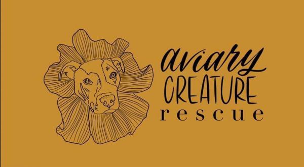 Aviary Creature Rescue