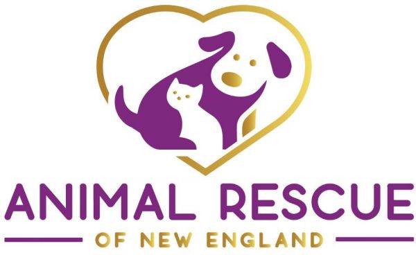 Animal Rescue of New England