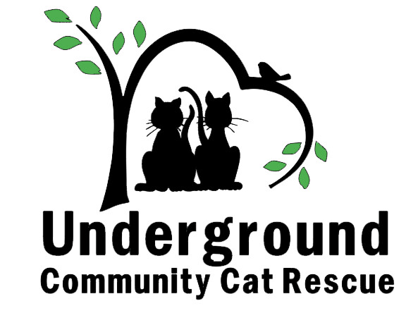 Underground Community Cat Rescue (UCCR)