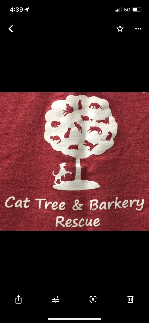 Cat Tree and Barkery Rescue