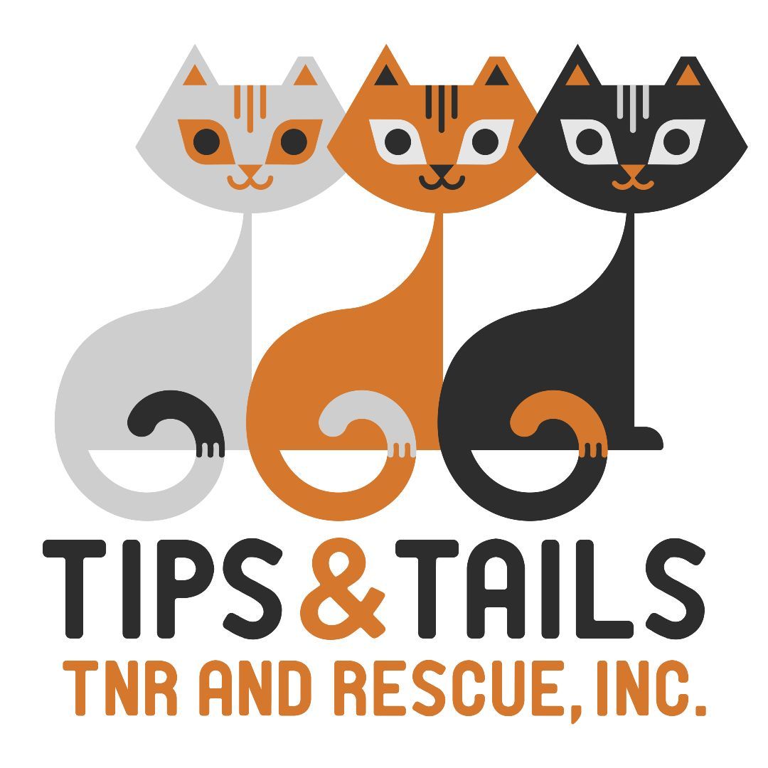 Tnr rescue sale