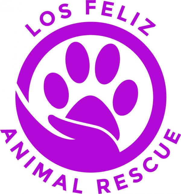 Los Feliz Animal Rescue