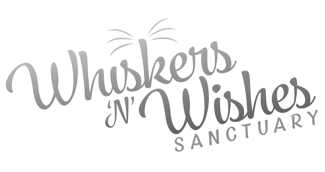 Whiskers N Wishes Sanctuary