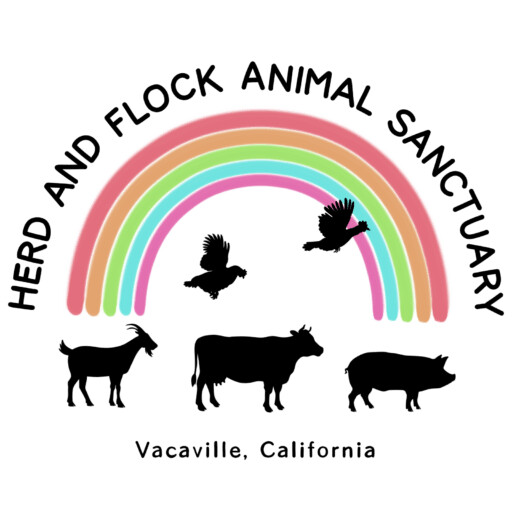 Herd and Flock Animal Sanctuary