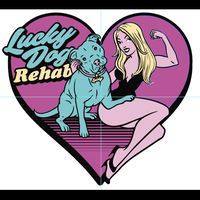 Lucky Dog Rehabilitation