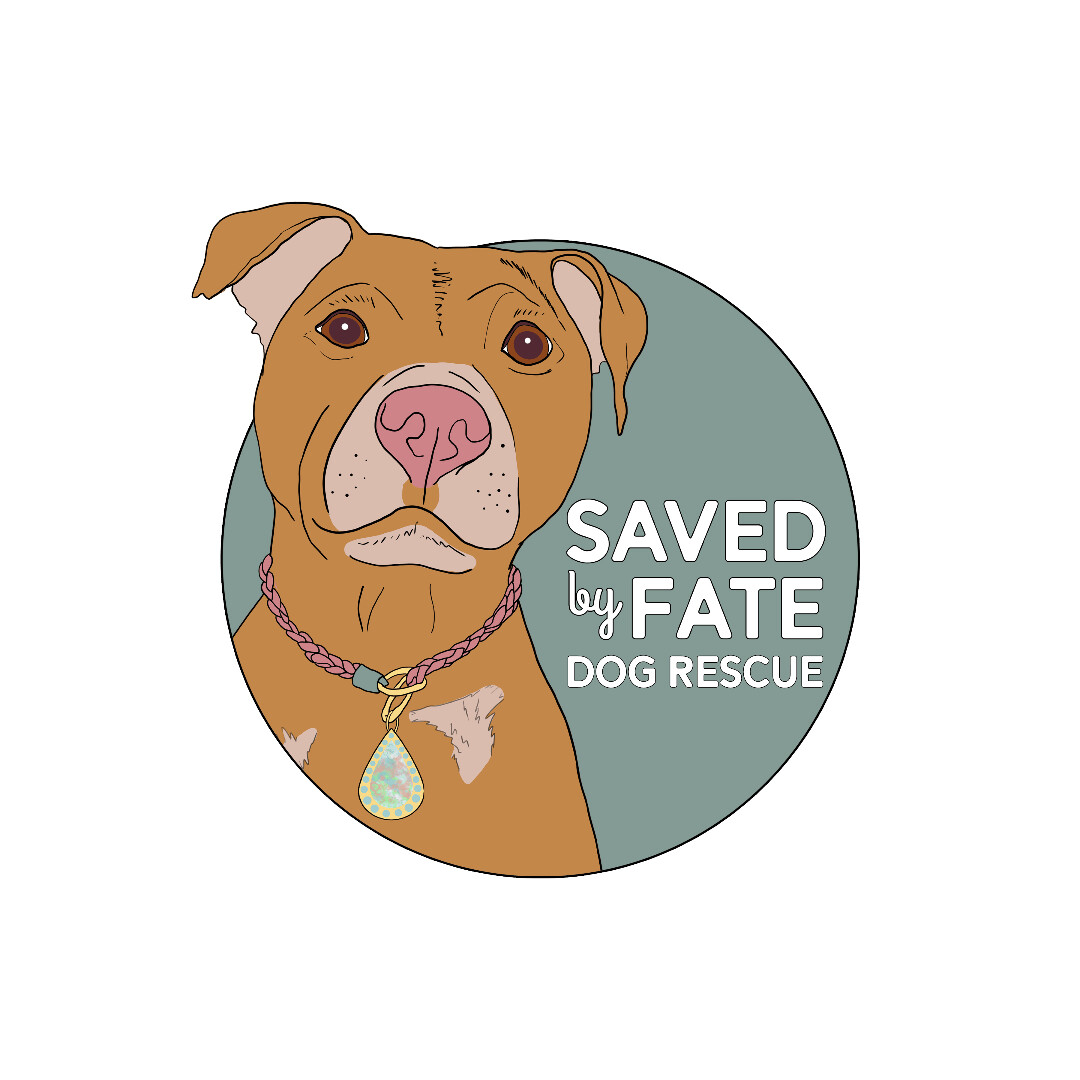 Saved By Fate Dog Rescue